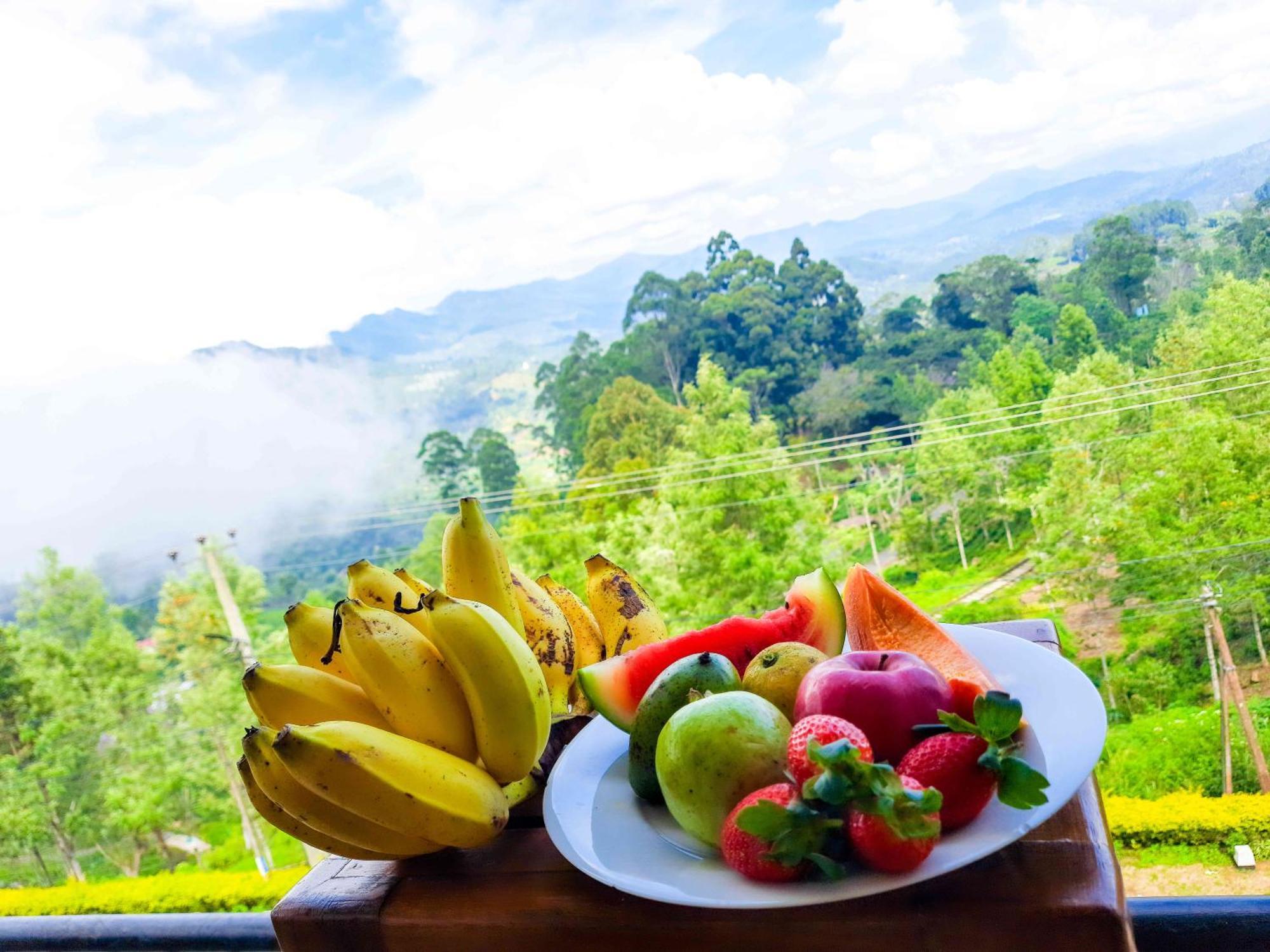 Awinco Haputale Hotel Luaran gambar