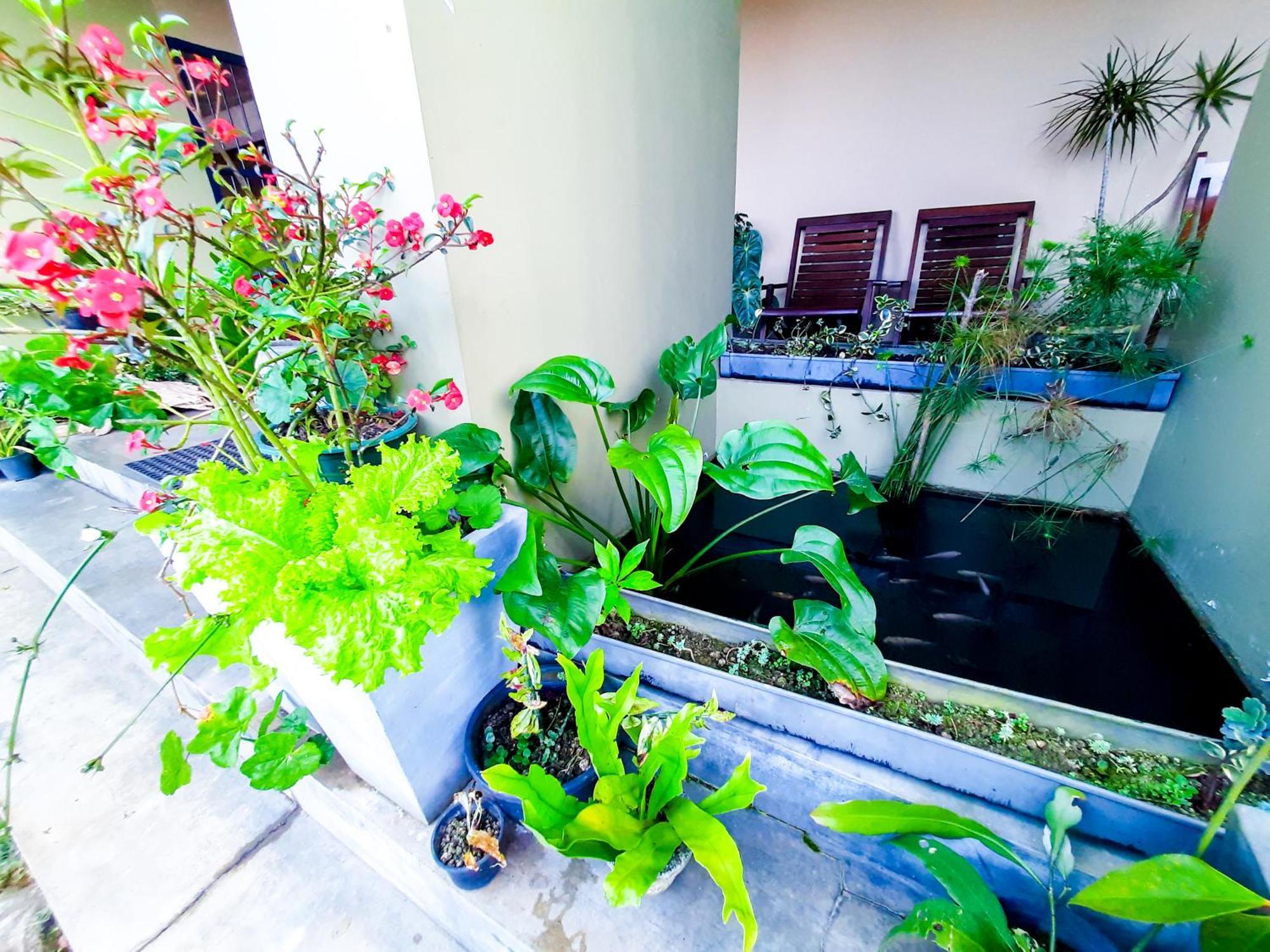 Awinco Haputale Hotel Luaran gambar