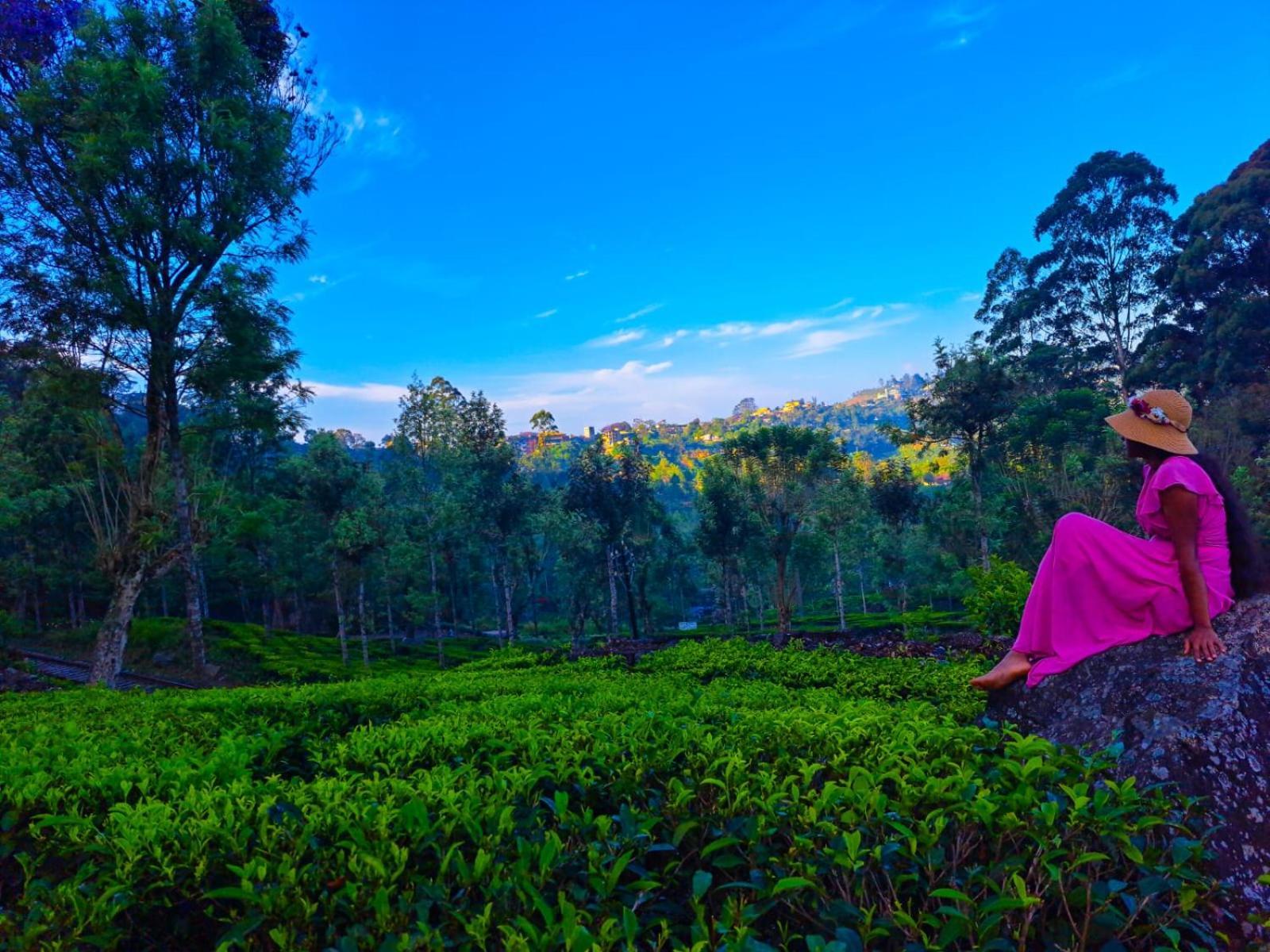 Awinco Haputale Hotel Bilik gambar
