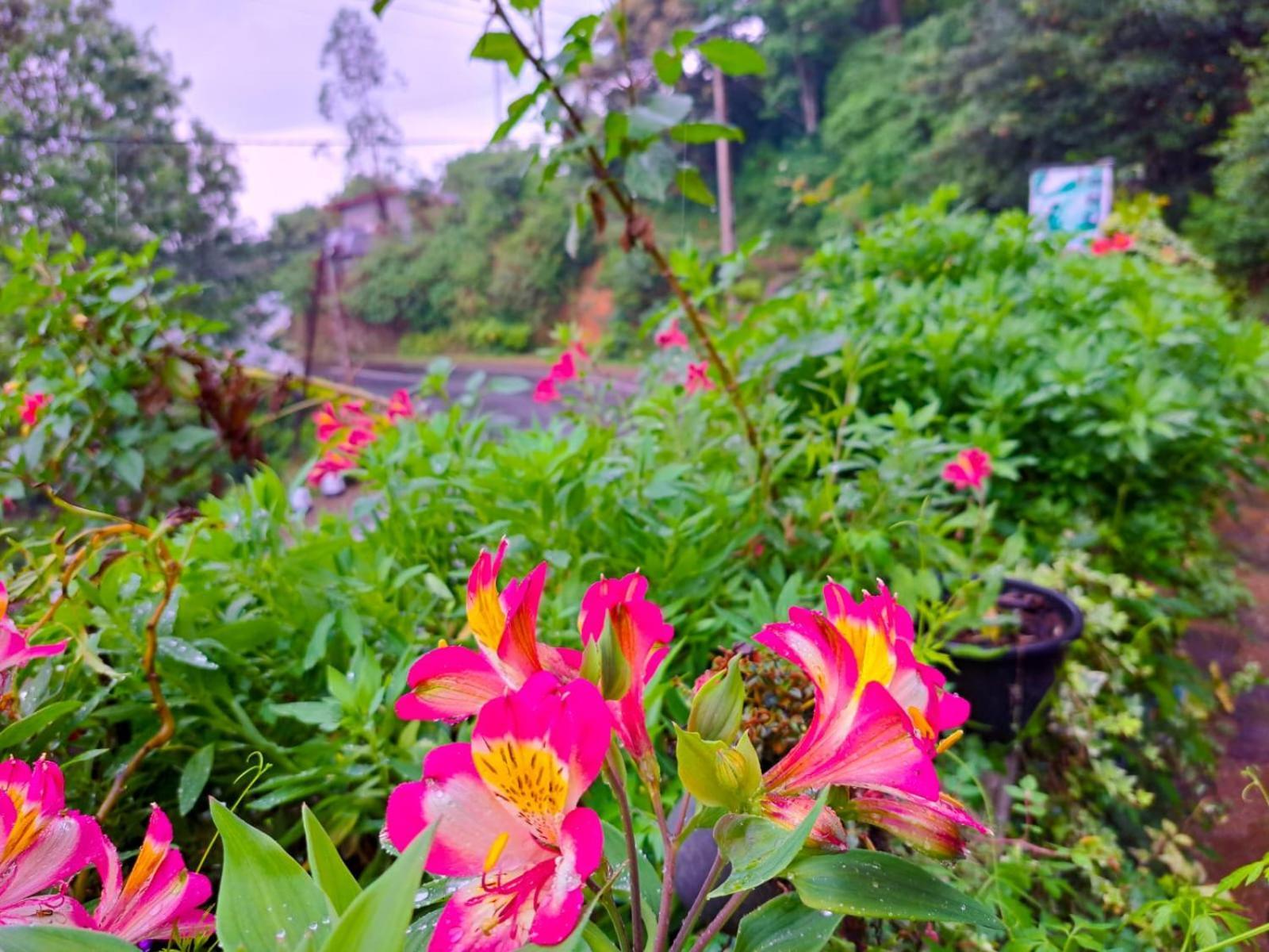 Awinco Haputale Hotel Bilik gambar